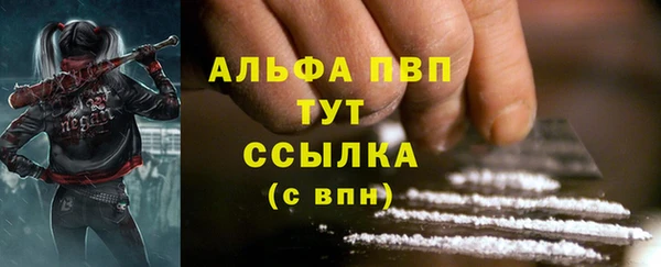 СК Абинск