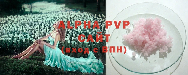 СК Абинск